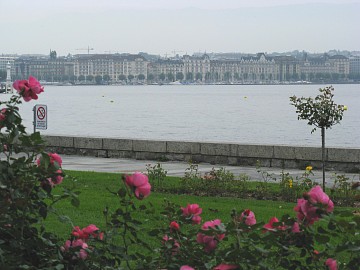 ���}����