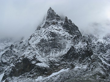 �V�����j�[�j��Q