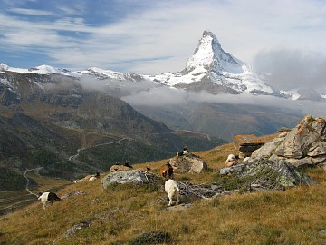 �V���e���[�[��O����̃}�b�^�[�z����