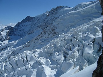 �g���l�����̑����猩���X��