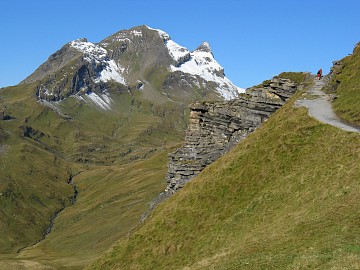 �o�b�n�A���v�[�[�Ɍ�������