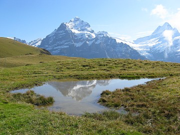 �x�b�^�[�z����