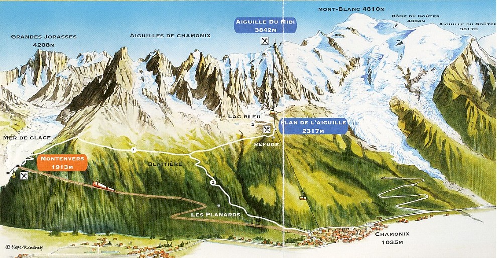 �V�����j�[����̓W�]