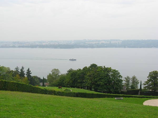 �����Z��n���烌�}����