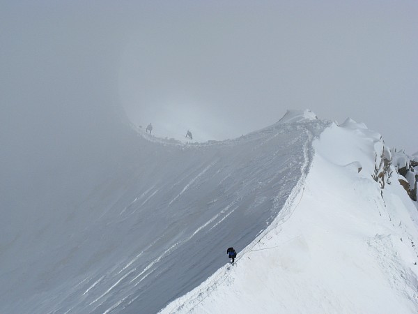 �G�M�[���E�f���E�~�f�B����̓W�]