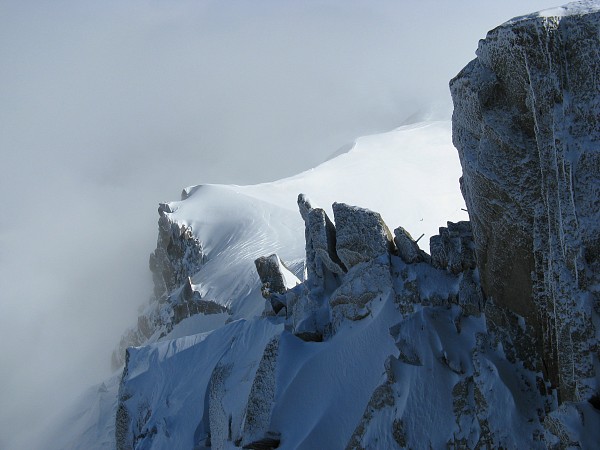 �G�M�[���E�f���E�~�f�B����̓W�]