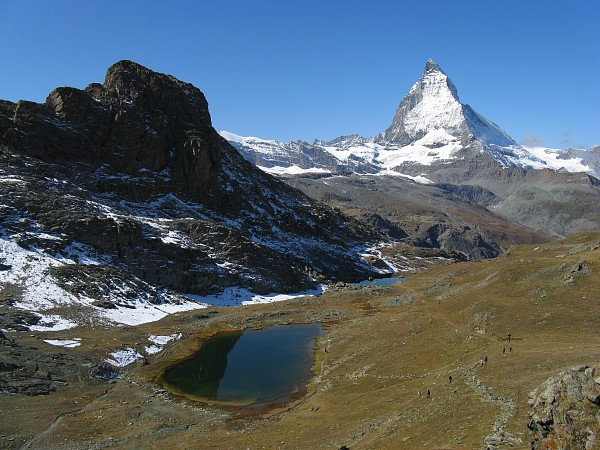 �S���i�[�O���[�h�`���b�t�F���x���N
�g���b�L���O�R�[�X