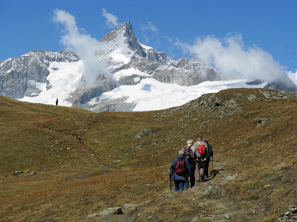 �S���i�[�O���[�h�`���b�t�F���x���N
�g���b�L���O�R�[�X