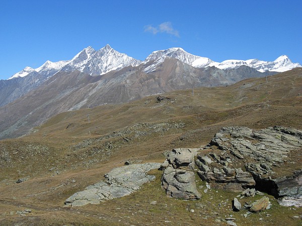 �S���i�[�O���[�h�`���b�t�F���x���N
�g���b�L���O�R�[�X