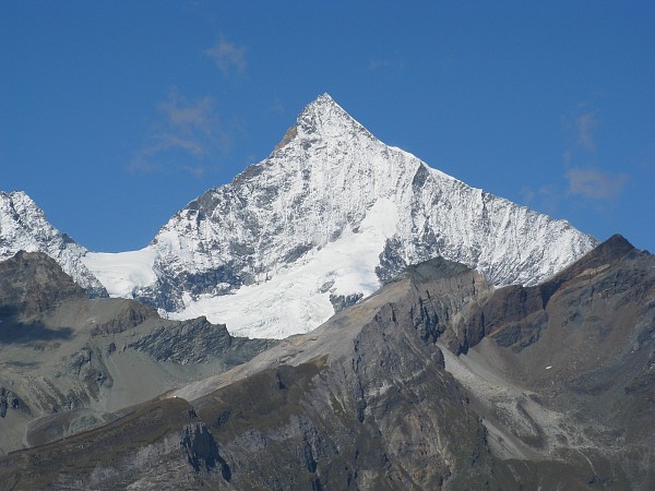 �S���i�[�O���[�h�`���b�t�F���x���N
�g���b�L���O�R�[�X