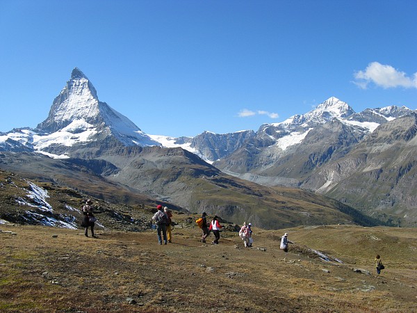 �S���i�[�O���[�h�`���b�t�F���x���N
�g���b�L���O�R�[�X