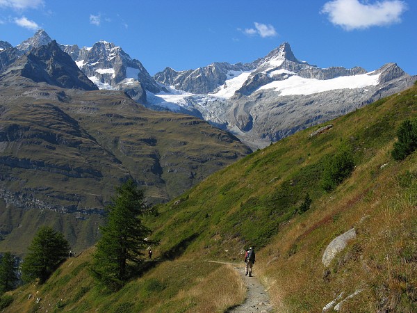 ���b�t�F���x���N�`���t�F���A���v
�g���b�L���O�R�[�X