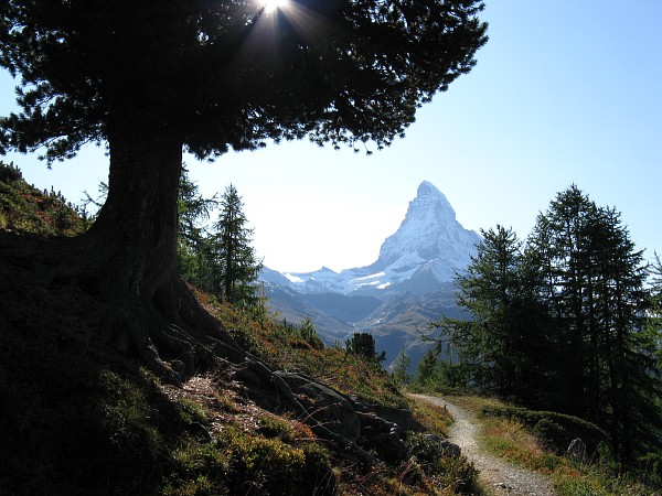 ���b�t�F���x���N�`���t�F���A���v
�g���b�L���O�R�[�X