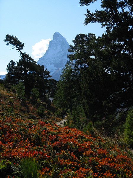 ���b�t�F���x���N�`���t�F���A���v
�g���b�L���O�R�[�X