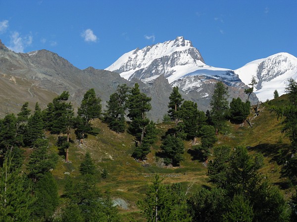 ���b�t�F���x���N�`���t�F���A���v
�g���b�L���O�R�[�X