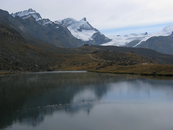 �V���e���[�[