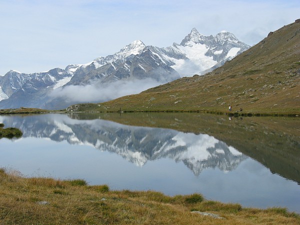 �V���e���[�[