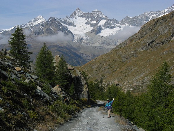 �V���e���[�[�`�O�����W�[�[
�g���b�L���O�R�[�X