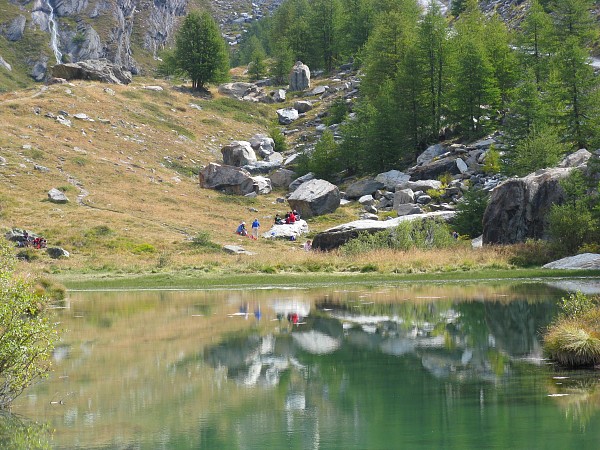 �O�����W�[�[