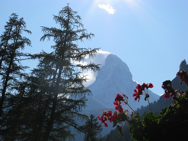 �S���h���w���X�g��������