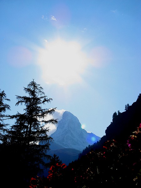 �S���h���w���X�g��������