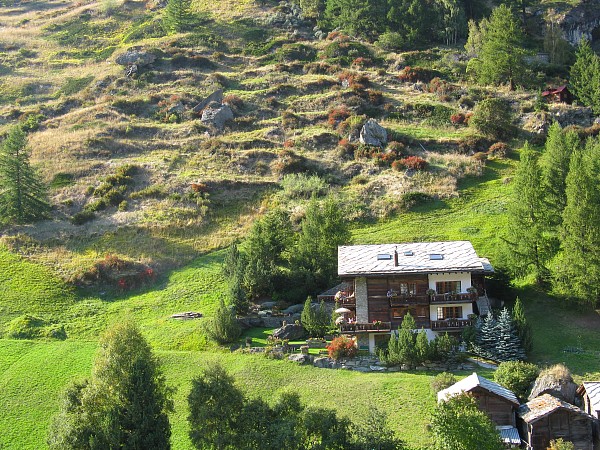 �S���h���w���X�g��������