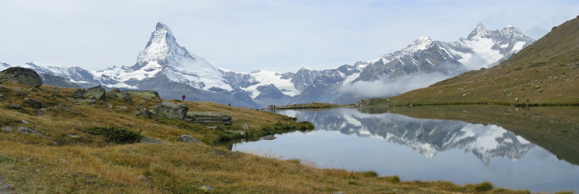 �V���e���[�[