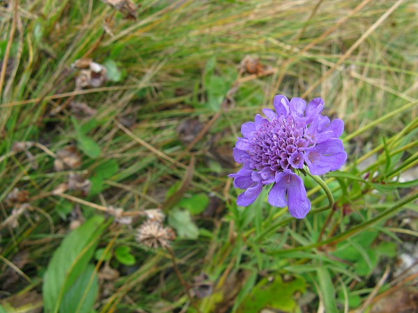 �������b�q�F���`�N���C�l�V���C�f�B�b�N
�g���b�L���O�R�[�X