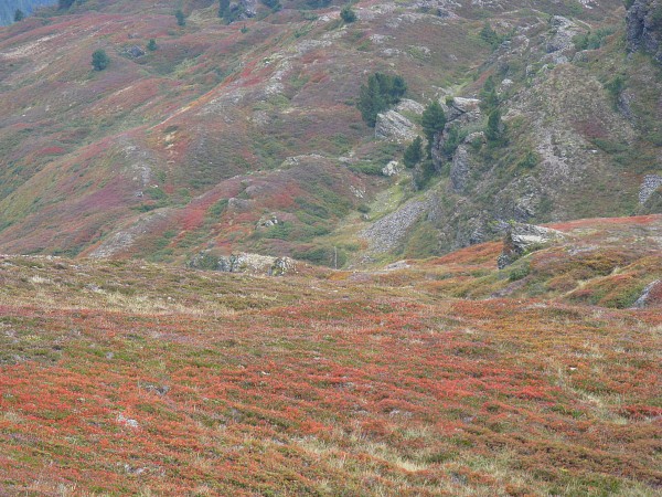 �������b�q�F���`�N���C�l�V���C�f�B�b�N
�g���b�L���O�R�[�X