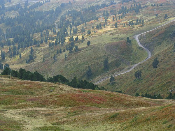 �������b�q�F���`�N���C�l�V���C�f�B�b�N
�g���b�L���O�R�[�X