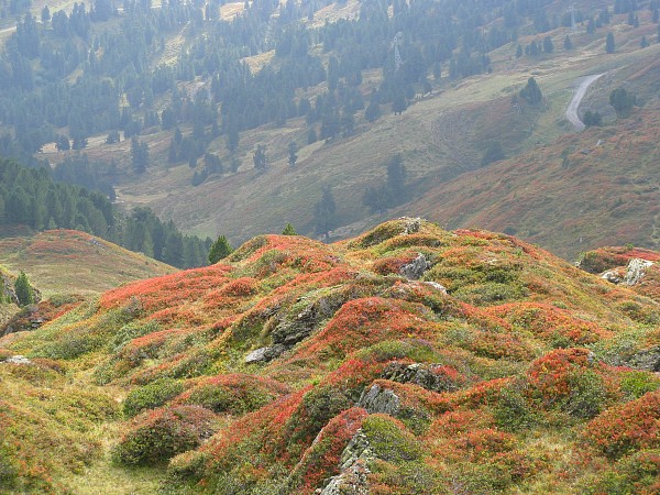 �������b�q�F���`�N���C�l�V���C�f�B�b�N
�g���b�L���O�R�[�X