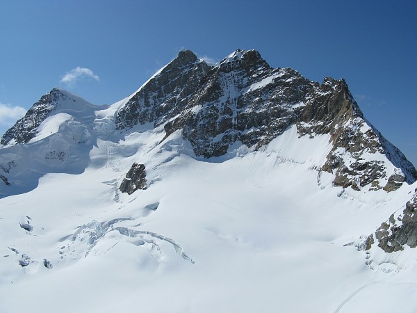 �����O�t���E