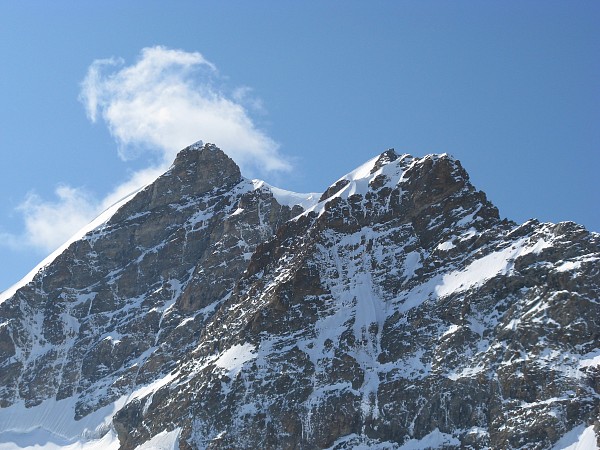 �����O�t���E