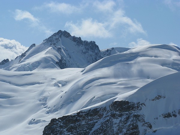 �����O�t���E