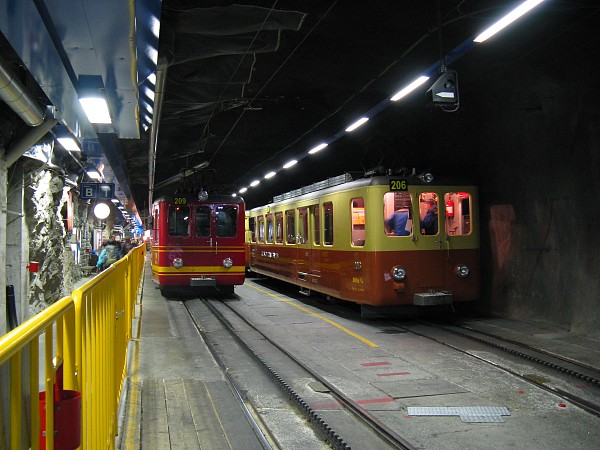 �����O�t���E���b�z�w