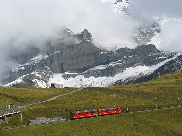 �A�C�K�[�O���b�`���[�w�`�N���C�l�V���C�f�B�b�N
�g���b�L���O�R�[�X