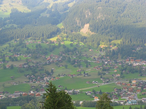 �N���C�l�V���C�f�B�b�N�`�O�����f�������g�@�ԑ�����