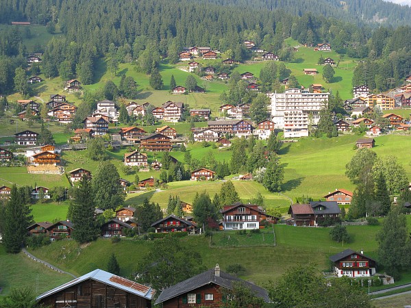 �N���C�l�V���C�f�B�b�N�`�O�����f�������g�@�ԑ�����