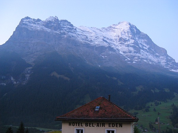 �z�e��Derby���猩���A�C�K�[