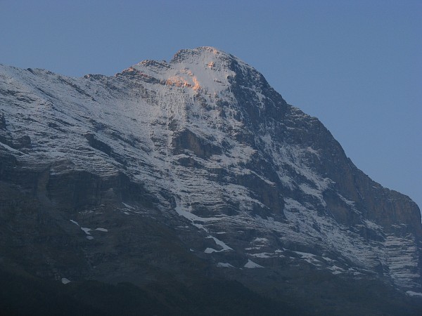 �z�e��Derby���猩���A�C�K�[