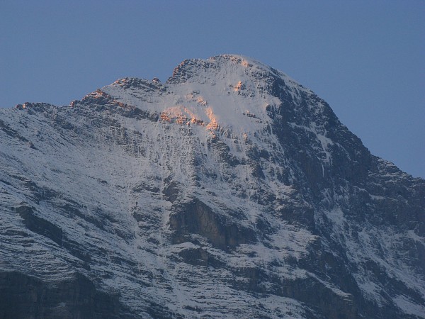 �z�e��Derby���猩���A�C�K�[