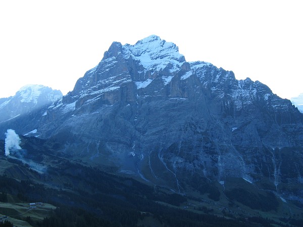 �O�����f�������g�`�t�B���X�g�@�S���h������
�x�b�^�[�z����