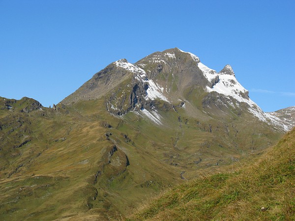 �t�B���X�g�`�o�b�n�A���v�[�[�@�g���b�L���O�R�[�X