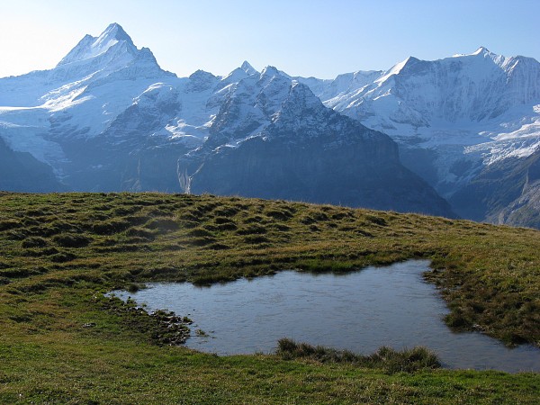 �t�B���X�g�`�o�b�n�A���v�[�[�@�g���b�L���O�R�[�X