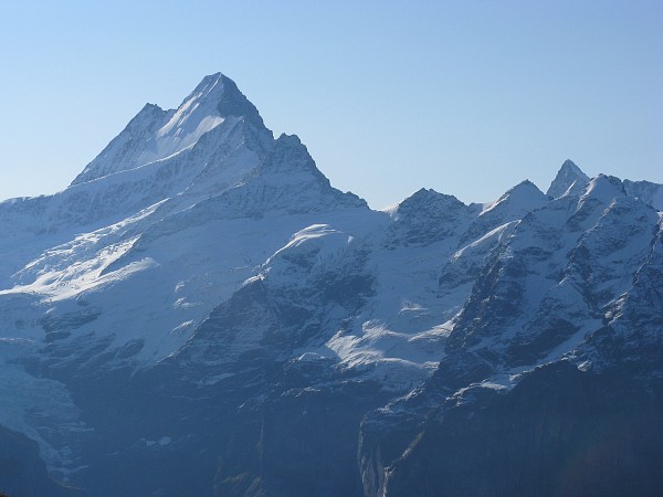 �t�B���X�g�`�o�b�n�A���v�[�[�@�g���b�L���O�R�[�X
�V�����b�N�z����