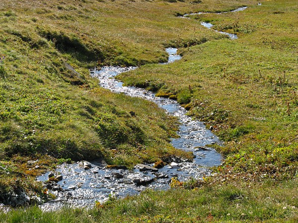 �t�B���X�g�`�o�b�n�A���v�[�[�@�g���b�L���O�R�[�X