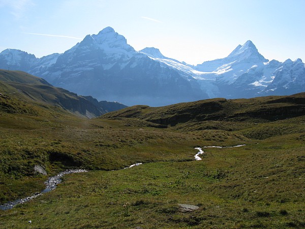 �t�B���X�g�`�o�b�n�A���v�[�[�@�g���b�L���O�R�[�X
�x�b�^�[�z����