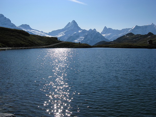 �o�b�n�A���v�[�[����V�����b�N�z����