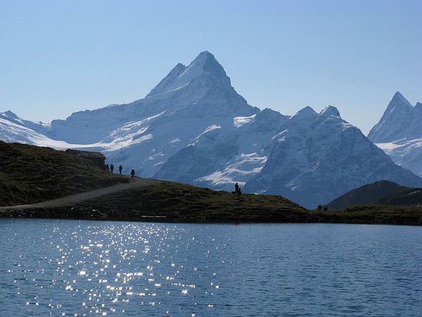 �o�b�n�A���v�[�[����V�����b�N�z����