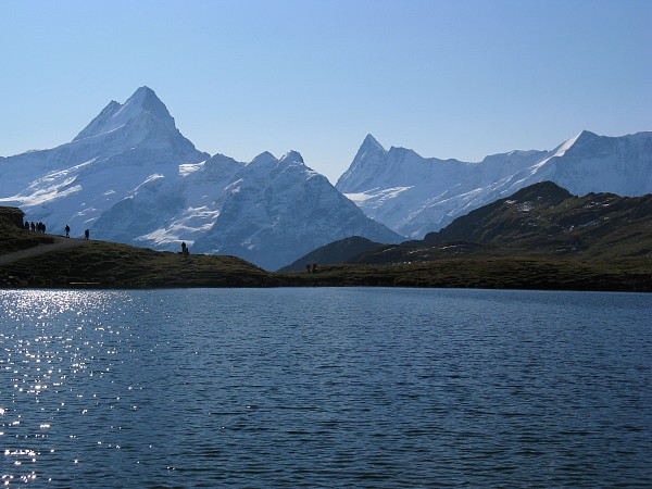 �o�b�n�A���v�[�[����V�����b�N�z����